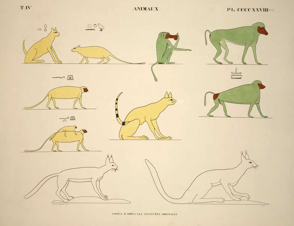 An illustration from Monuments de l'Égypte et de la Nubie, d'après les dessins exécutés sur les lieux sous la direction de Champollion-le-jeune, et les descriptions autographes qu'il en a rédigées; pub. sous les auspices de M. Guizot et de M. Thiers ... par une commission spéciale. Planches, 1835, leaf 490