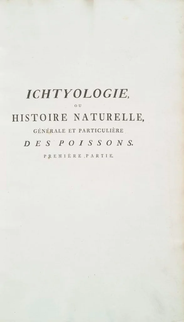 An illustration from Allgemeine Naturgeschichte der Fische. French = Ichtylogie, ou Histoire naturelle : generale et particuliere des poissons, 1785, leaf 1