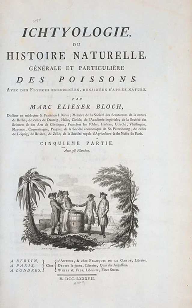 An illustration from Allgemeine Naturgeschichte der Fische. French = Ichtylogie, ou Histoire naturelle : generale et particuliere des poissons, 1785, leaf 154