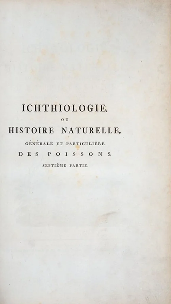 An illustration from Allgemeine Naturgeschichte der Fische. French = Ichtylogie, ou Histoire naturelle : generale et particuliere des poissons, 1785, leaf 229