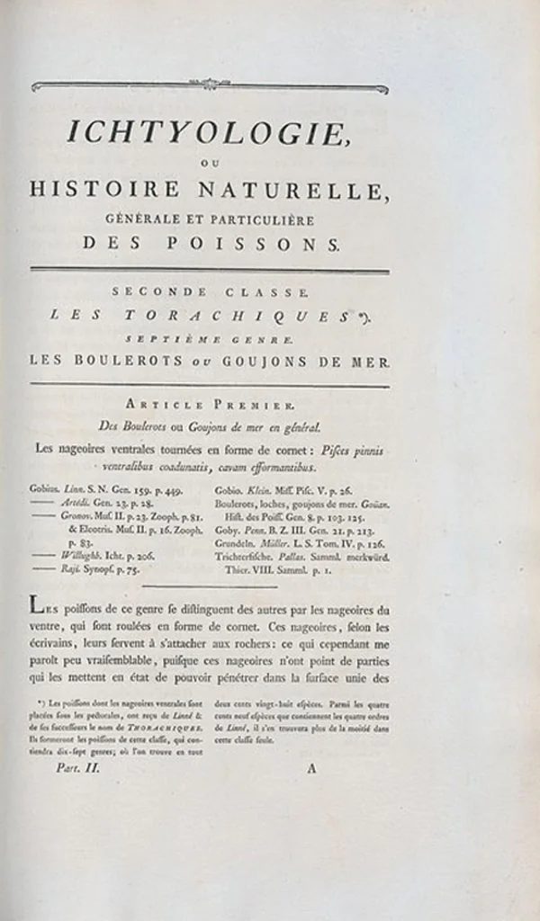 An illustration from Allgemeine Naturgeschichte der Fische. French = Ichtylogie, ou Histoire naturelle : generale et particuliere des poissons, 1785, leaf 41