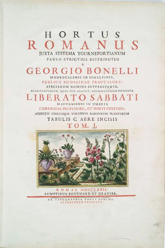 An illustration from Hortus Romanus plantaru, 1772, leaf 1
