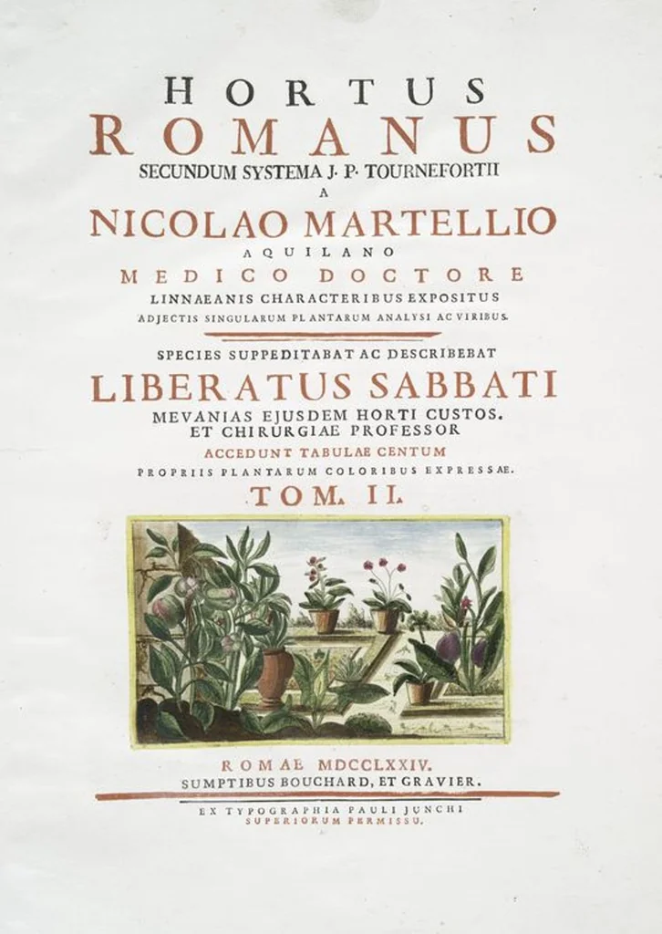 An illustration from Hortus Romanus plantaru, 1772, leaf 104