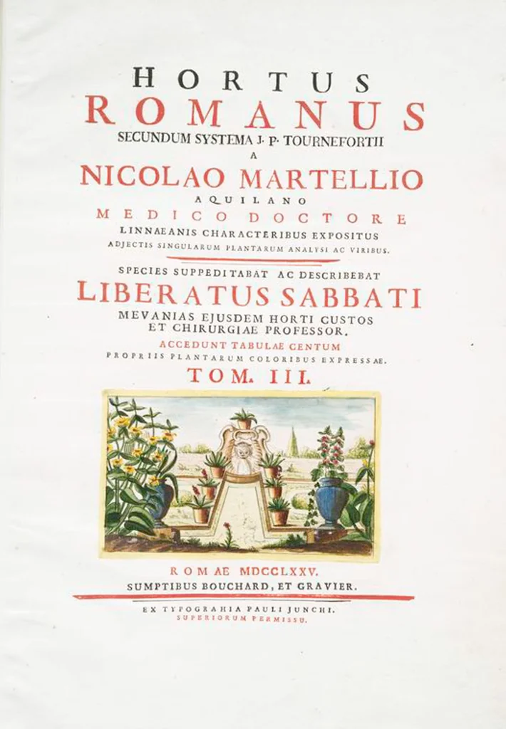 An illustration from Hortus Romanus plantaru, 1772, leaf 206