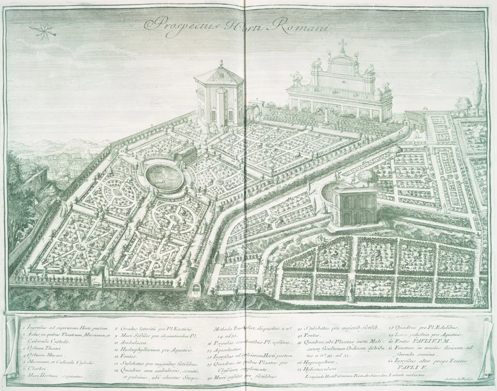 An illustration from Hortus Romanus plantaru, 1772, leaf 3