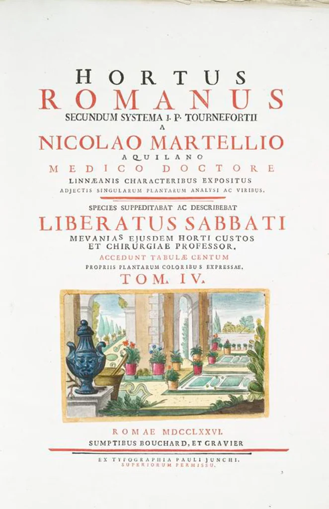 An illustration from Hortus Romanus plantaru, 1772, leaf 308