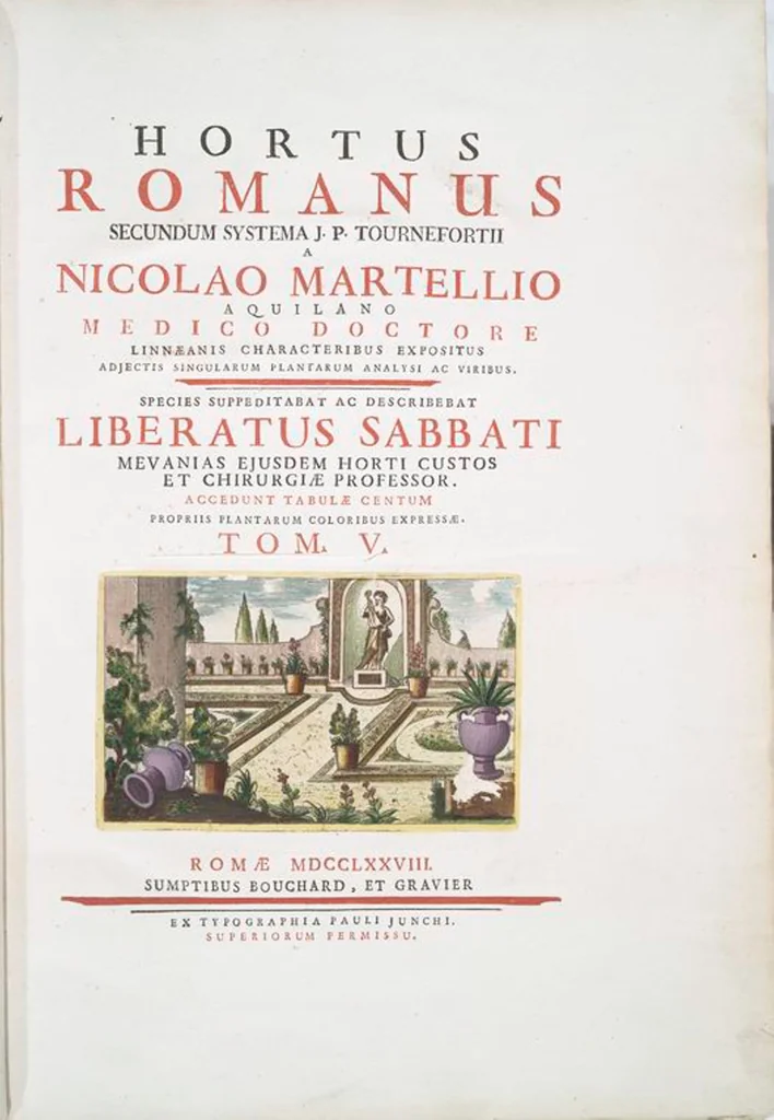 An illustration from Hortus Romanus plantaru, 1772, leaf 410