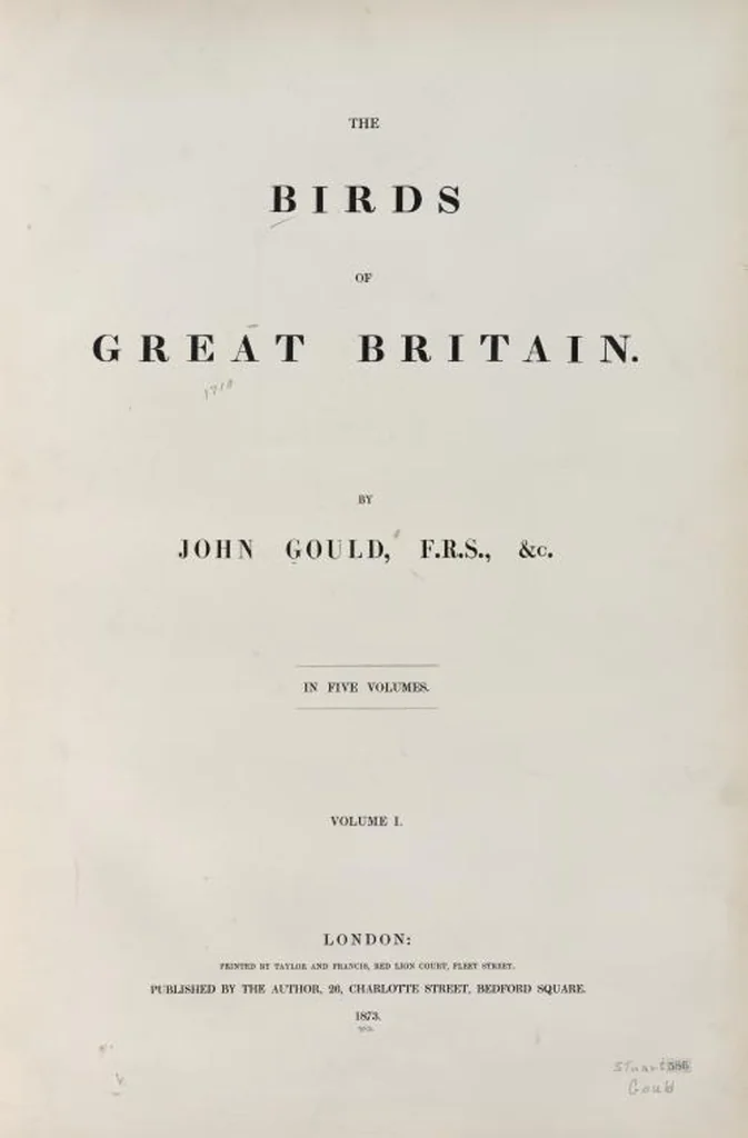 An illustration from The birds of Great Britain, 1862, leaf 1