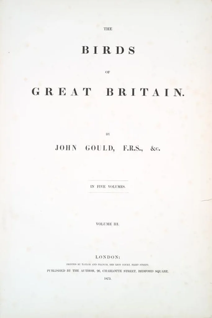An illustration from The birds of Great Britain, 1862, leaf 122