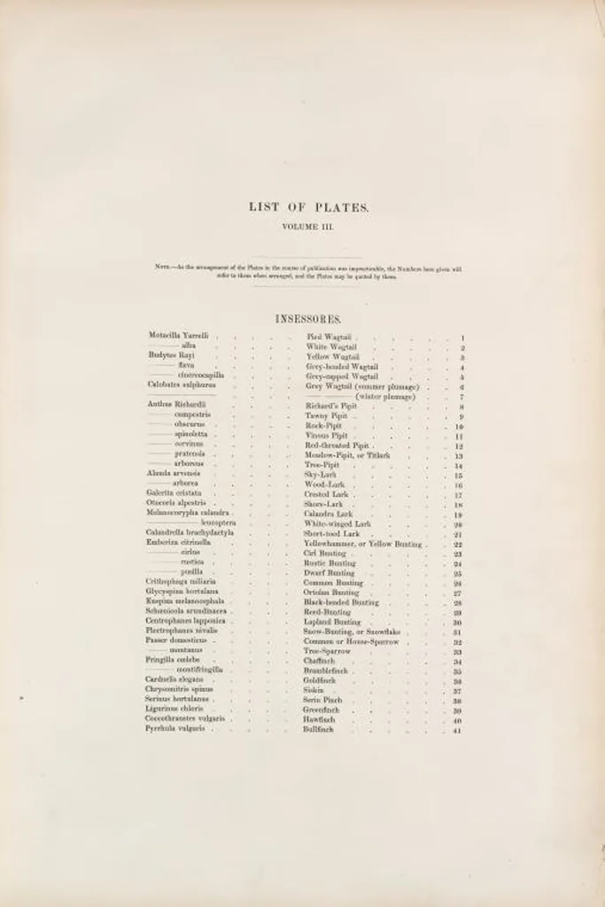 An illustration from The birds of Great Britain, 1862, leaf 123