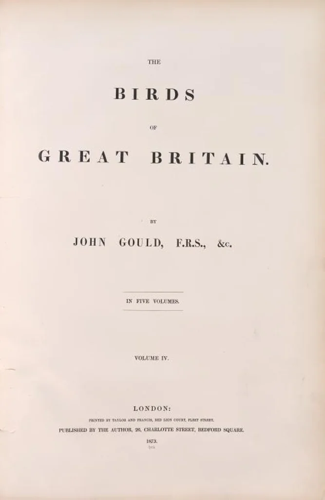An illustration from The birds of Great Britain, 1862, leaf 201