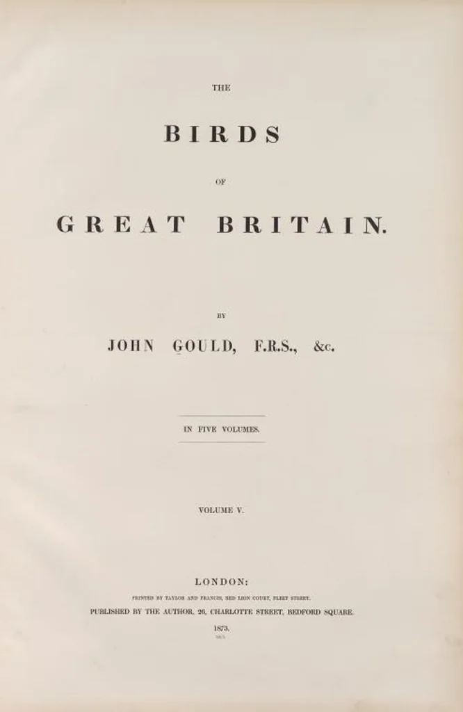 An illustration from The birds of Great Britain, 1862, leaf 294