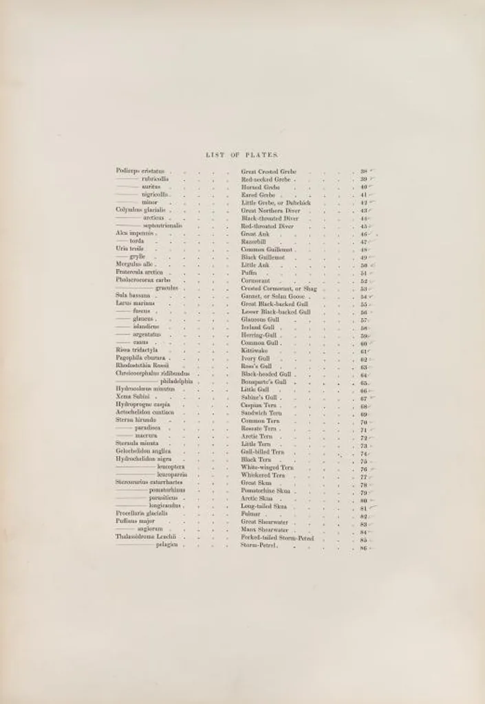 An illustration from The birds of Great Britain, 1862, leaf 296