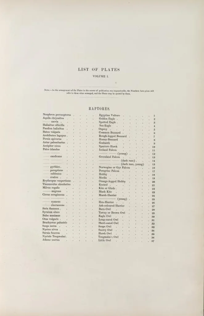 An illustration from The birds of Great Britain, 1862, leaf 3