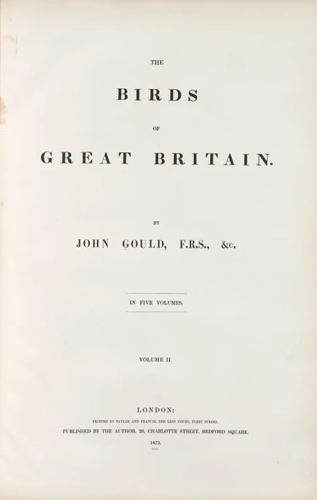 An illustration from The birds of Great Britain, 1862, leaf 41