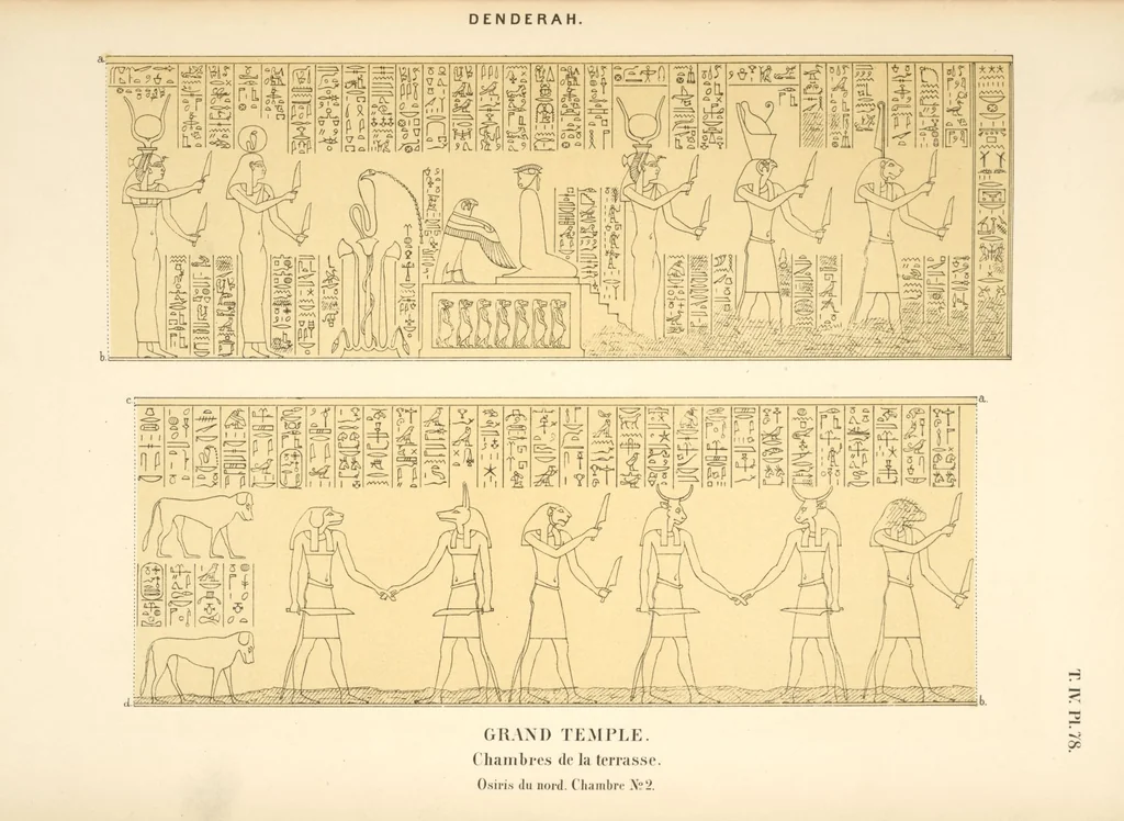 An illustration from Dendérah : description générale du grand temple de cette ville, 1870, leaf 332