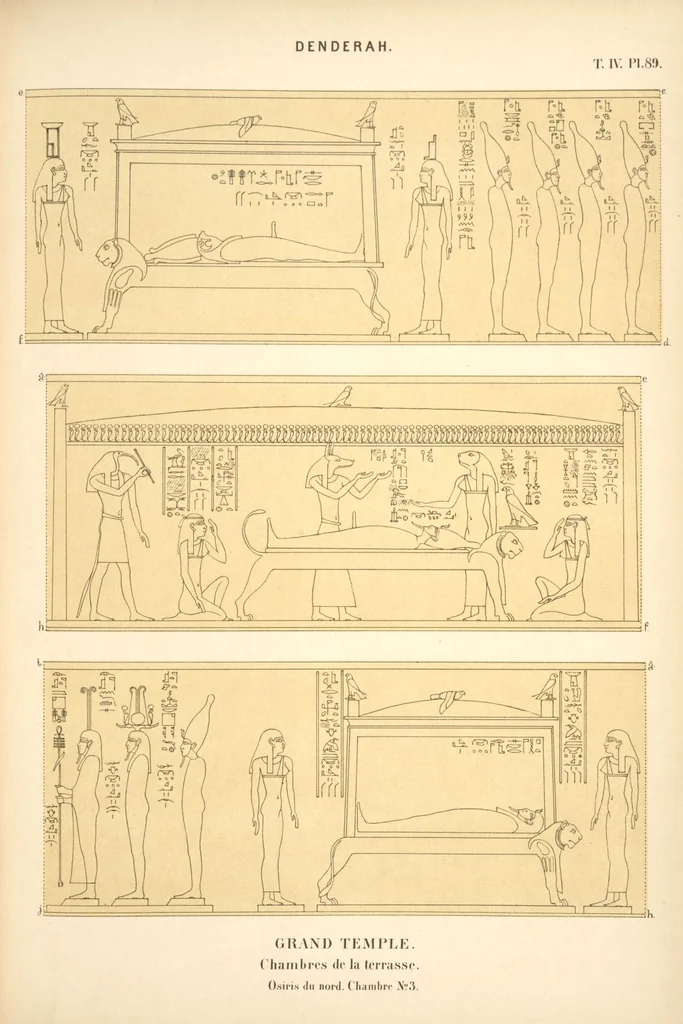 An illustration from Dendérah : description générale du grand temple de cette ville, 1870, leaf 343
