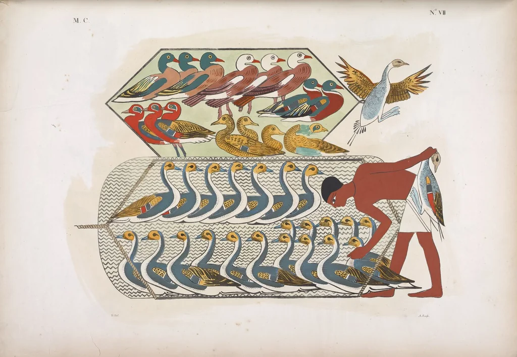 An illustration from I monumenti dell'Egitto e della Nubia disegnati dalla spedizione scientifico-letteraria toscana in Egitto; distribuiti in ordine di materie interpretati ed illustrati dal dottore Ippolito Rosellini, 1832, leaf 188
