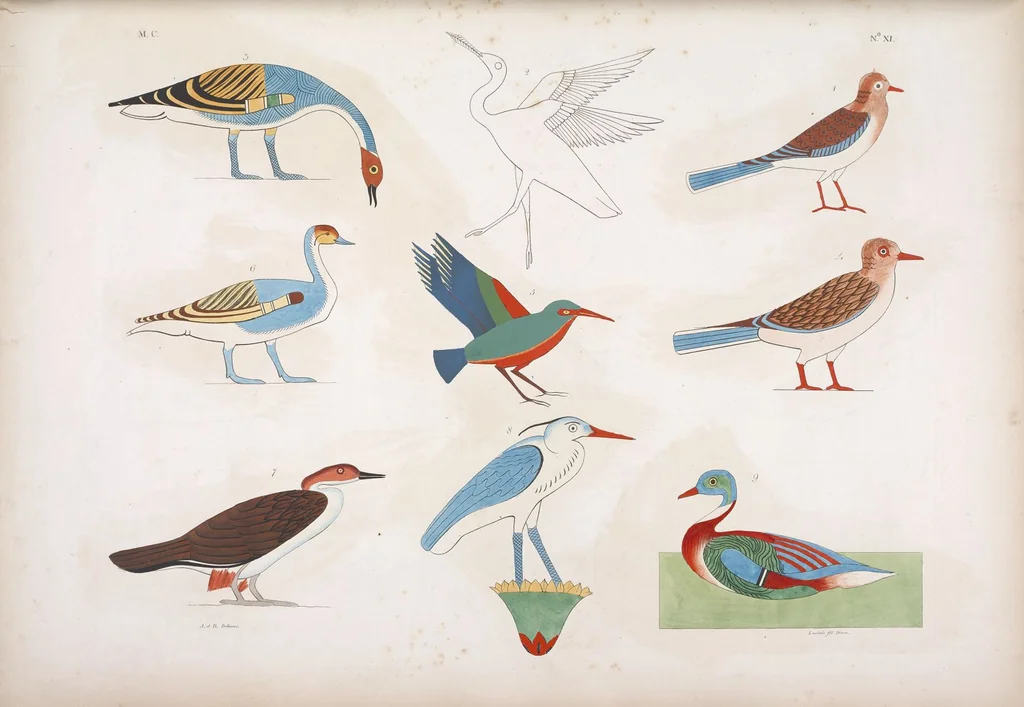 An illustration from I monumenti dell'Egitto e della Nubia disegnati dalla spedizione scientifico-letteraria toscana in Egitto; distribuiti in ordine di materie interpretati ed illustrati dal dottore Ippolito Rosellini, 1832, leaf 192