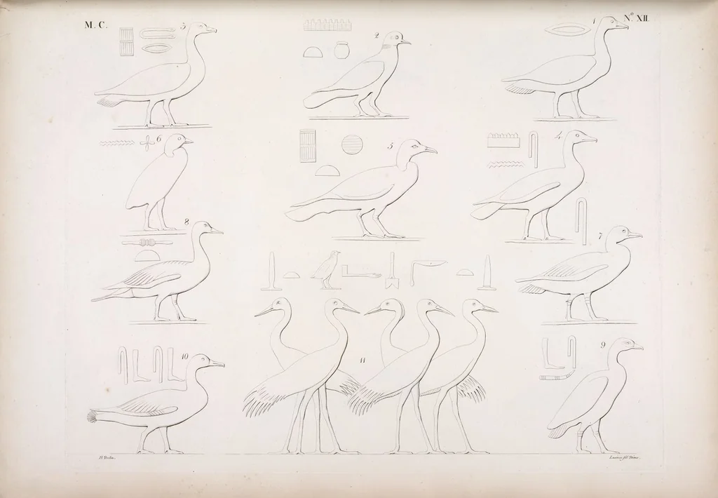 An illustration from I monumenti dell'Egitto e della Nubia disegnati dalla spedizione scientifico-letteraria toscana in Egitto; distribuiti in ordine di materie interpretati ed illustrati dal dottore Ippolito Rosellini, 1832, leaf 193