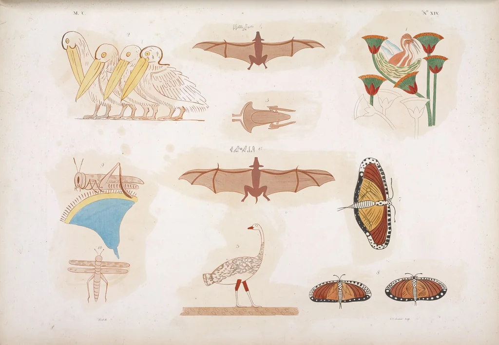 An illustration from I monumenti dell'Egitto e della Nubia disegnati dalla spedizione scientifico-letteraria toscana in Egitto; distribuiti in ordine di materie interpretati ed illustrati dal dottore Ippolito Rosellini, 1832, leaf 195