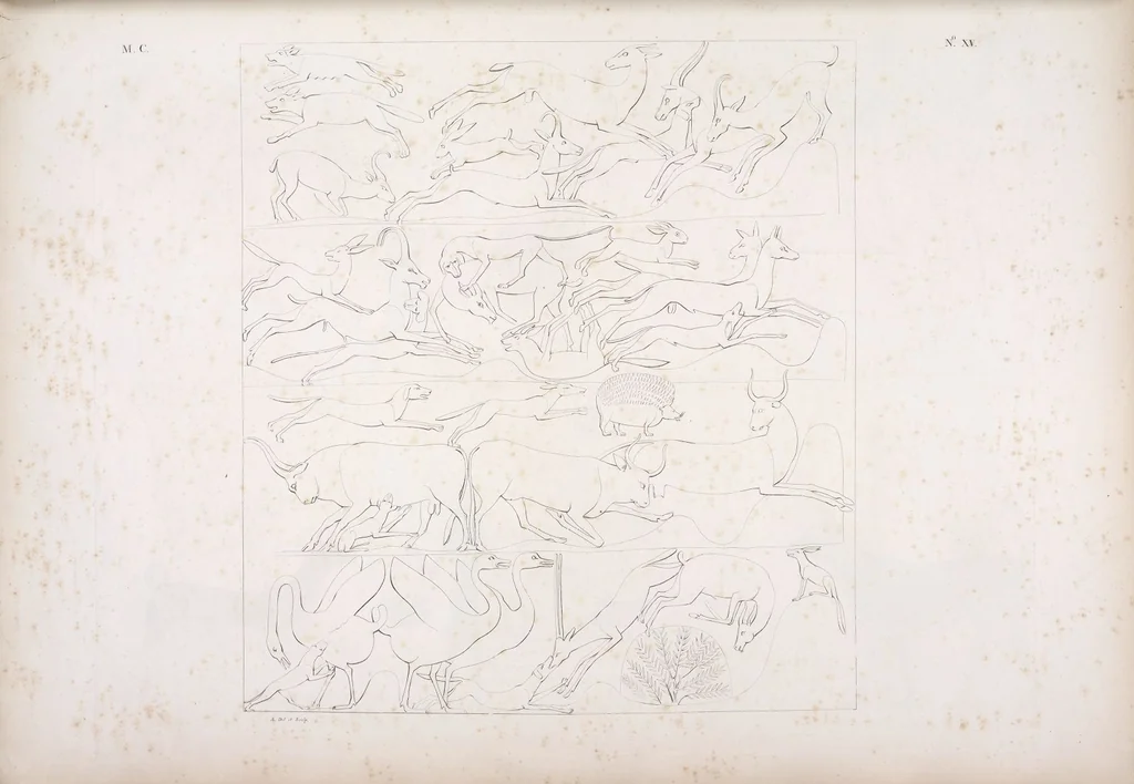 An illustration from I monumenti dell'Egitto e della Nubia disegnati dalla spedizione scientifico-letteraria toscana in Egitto; distribuiti in ordine di materie interpretati ed illustrati dal dottore Ippolito Rosellini, 1832, leaf 196