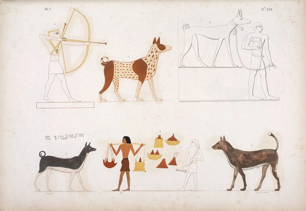 An illustration from I monumenti dell'Egitto e della Nubia disegnati dalla spedizione scientifico-letteraria toscana in Egitto; distribuiti in ordine di materie interpretati ed illustrati dal dottore Ippolito Rosellini, 1832, leaf 197