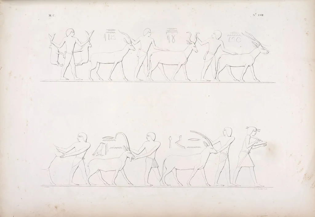 An illustration from I monumenti dell'Egitto e della Nubia disegnati dalla spedizione scientifico-letteraria toscana in Egitto; distribuiti in ordine di materie interpretati ed illustrati dal dottore Ippolito Rosellini, 1832, leaf 199