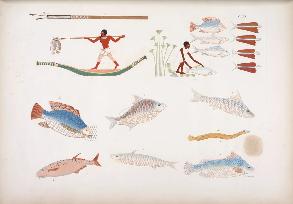 An illustration from I monumenti dell'Egitto e della Nubia disegnati dalla spedizione scientifico-letteraria toscana in Egitto; distribuiti in ordine di materie interpretati ed illustrati dal dottore Ippolito Rosellini, 1832, leaf 206