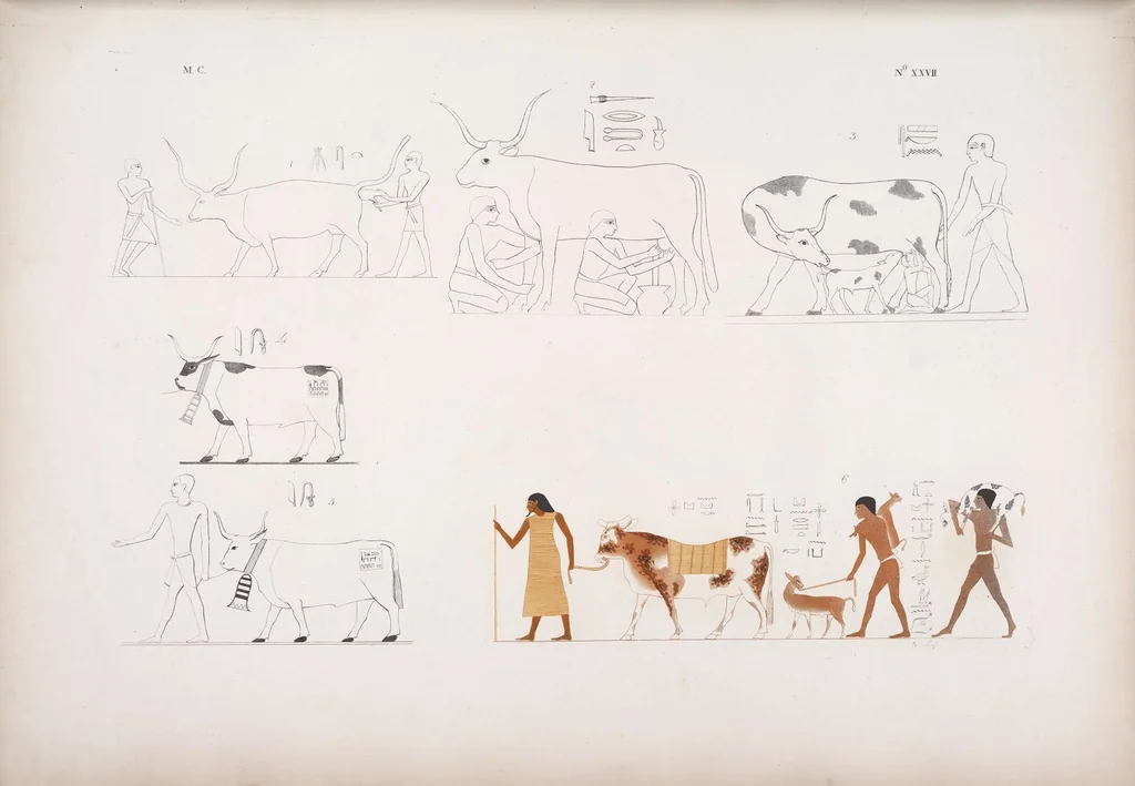 An illustration from I monumenti dell'Egitto e della Nubia disegnati dalla spedizione scientifico-letteraria toscana in Egitto; distribuiti in ordine di materie interpretati ed illustrati dal dottore Ippolito Rosellini, 1832, leaf 208