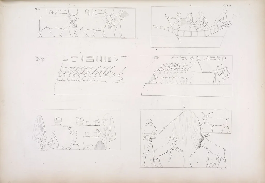 An illustration from I monumenti dell'Egitto e della Nubia disegnati dalla spedizione scientifico-letteraria toscana in Egitto; distribuiti in ordine di materie interpretati ed illustrati dal dottore Ippolito Rosellini, 1832, leaf 209