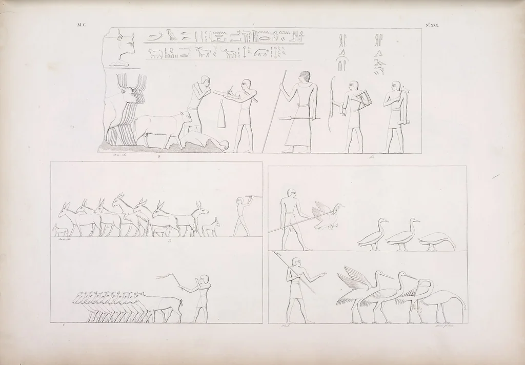An illustration from I monumenti dell'Egitto e della Nubia disegnati dalla spedizione scientifico-letteraria toscana in Egitto; distribuiti in ordine di materie interpretati ed illustrati dal dottore Ippolito Rosellini, 1832, leaf 211