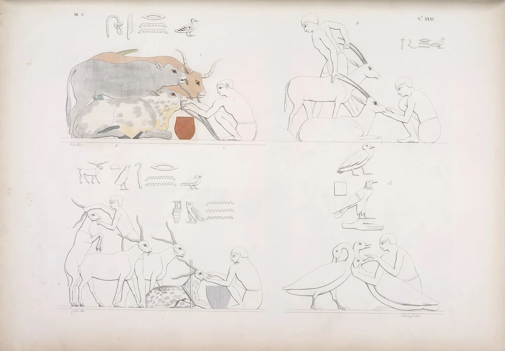 An illustration from I monumenti dell'Egitto e della Nubia disegnati dalla spedizione scientifico-letteraria toscana in Egitto; distribuiti in ordine di materie interpretati ed illustrati dal dottore Ippolito Rosellini, 1832, leaf 212