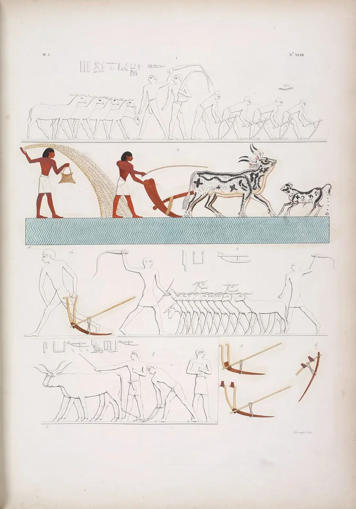 An illustration from I monumenti dell'Egitto e della Nubia disegnati dalla spedizione scientifico-letteraria toscana in Egitto; distribuiti in ordine di materie interpretati ed illustrati dal dottore Ippolito Rosellini, 1832, leaf 213