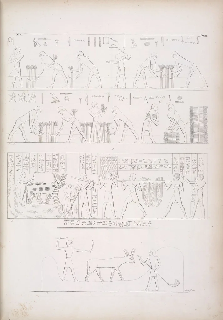 An illustration from I monumenti dell'Egitto e della Nubia disegnati dalla spedizione scientifico-letteraria toscana in Egitto; distribuiti in ordine di materie interpretati ed illustrati dal dottore Ippolito Rosellini, 1832, leaf 214