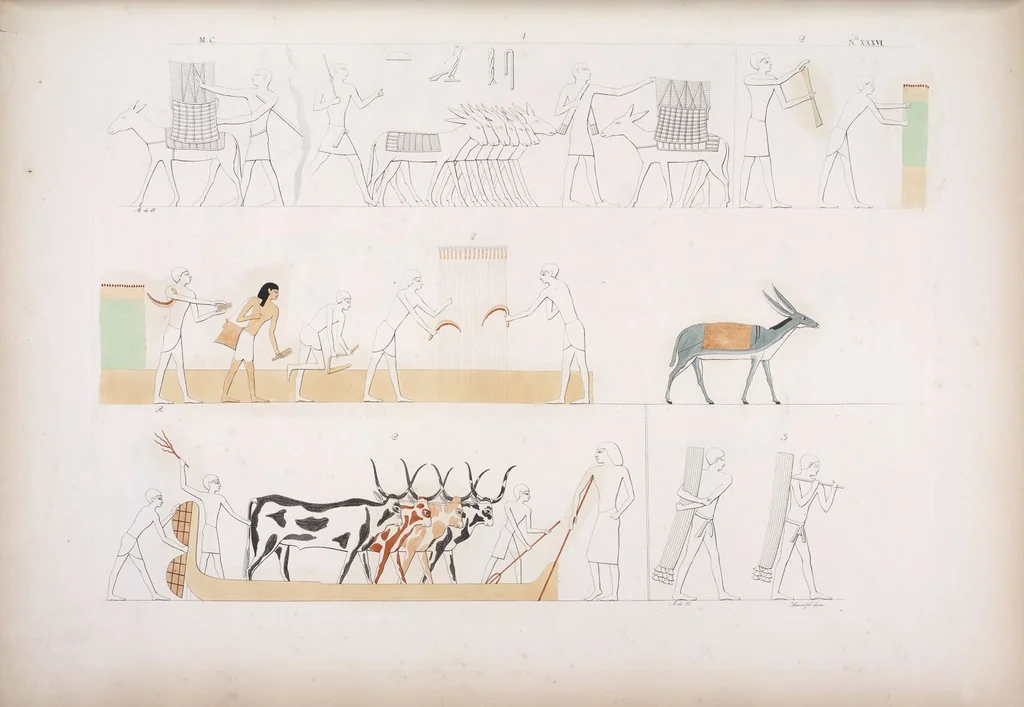 An illustration from I monumenti dell'Egitto e della Nubia disegnati dalla spedizione scientifico-letteraria toscana in Egitto; distribuiti in ordine di materie interpretati ed illustrati dal dottore Ippolito Rosellini, 1832, leaf 217
