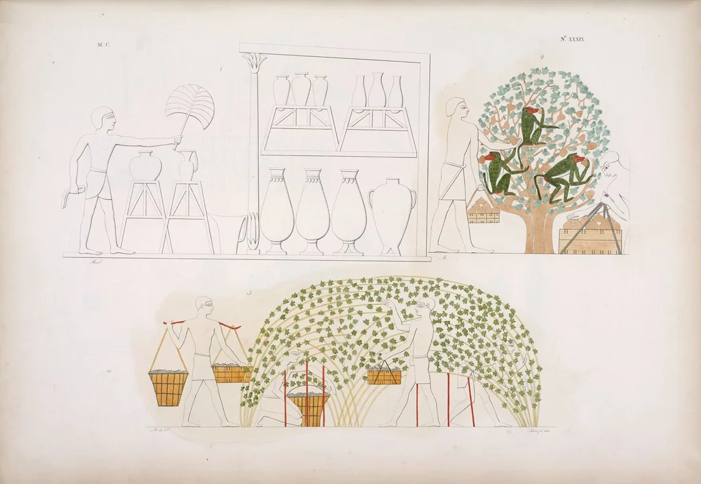 An illustration from I monumenti dell'Egitto e della Nubia disegnati dalla spedizione scientifico-letteraria toscana in Egitto; distribuiti in ordine di materie interpretati ed illustrati dal dottore Ippolito Rosellini, 1832, leaf 220