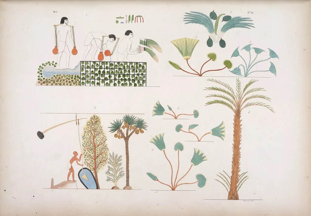 An illustration from I monumenti dell'Egitto e della Nubia disegnati dalla spedizione scientifico-letteraria toscana in Egitto; distribuiti in ordine di materie interpretati ed illustrati dal dottore Ippolito Rosellini, 1832, leaf 221