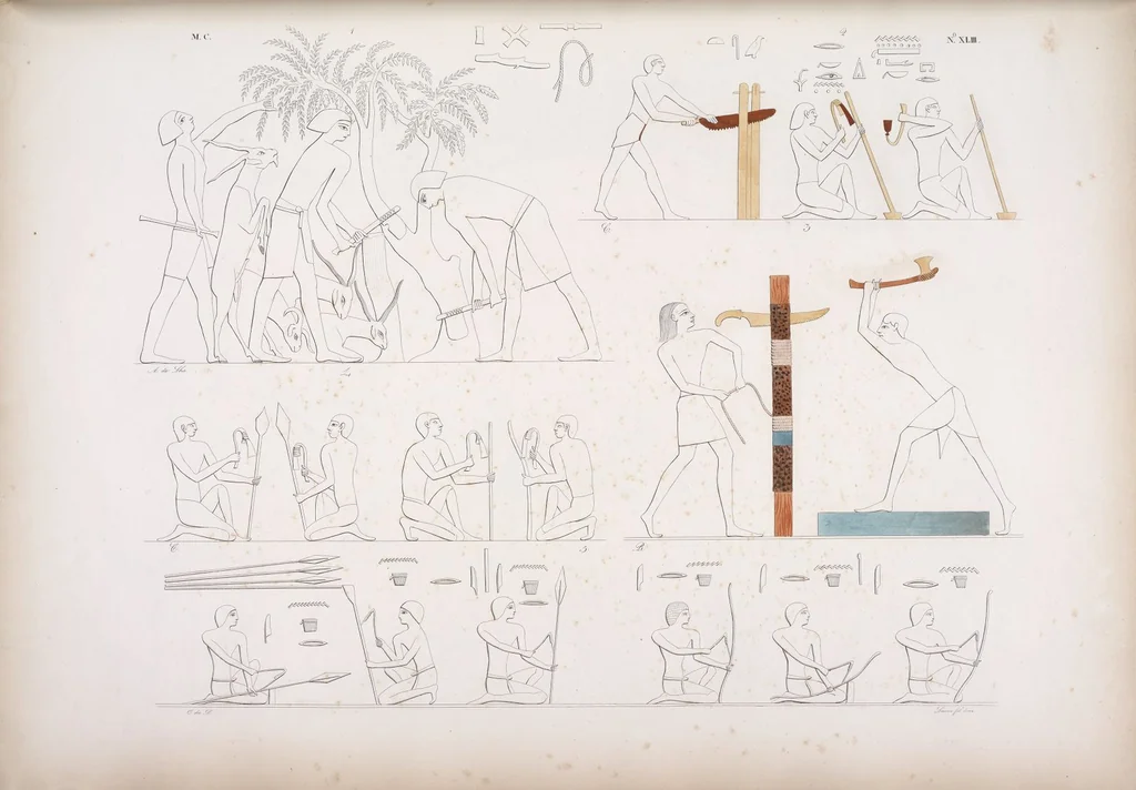 An illustration from I monumenti dell'Egitto e della Nubia disegnati dalla spedizione scientifico-letteraria toscana in Egitto; distribuiti in ordine di materie interpretati ed illustrati dal dottore Ippolito Rosellini, 1832, leaf 224