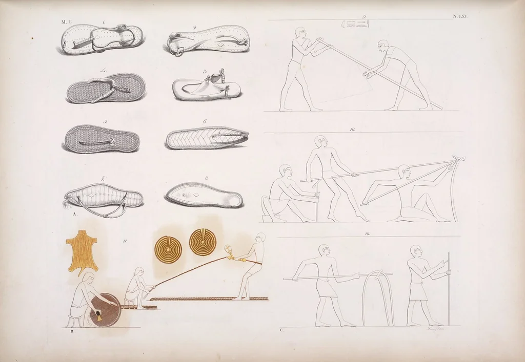An illustration from I monumenti dell'Egitto e della Nubia disegnati dalla spedizione scientifico-letteraria toscana in Egitto; distribuiti in ordine di materie interpretati ed illustrati dal dottore Ippolito Rosellini, 1832, leaf 246