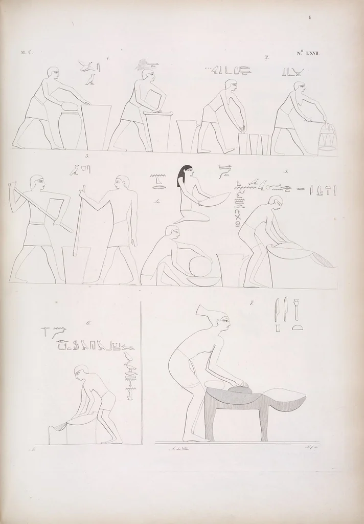 An illustration from I monumenti dell'Egitto e della Nubia disegnati dalla spedizione scientifico-letteraria toscana in Egitto; distribuiti in ordine di materie interpretati ed illustrati dal dottore Ippolito Rosellini, 1832, leaf 248