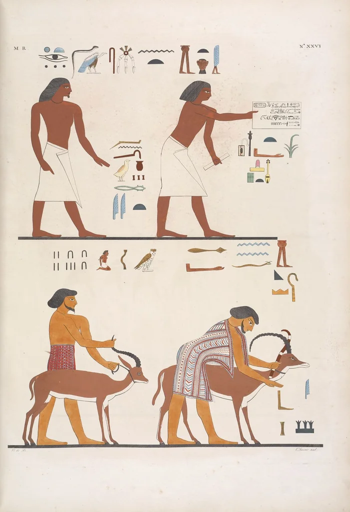 An illustration from I monumenti dell'Egitto e della Nubia disegnati dalla spedizione scientifico-letteraria toscana in Egitto; distribuiti in ordine di materie interpretati ed illustrati dal dottore Ippolito Rosellini, 1832, leaf 31