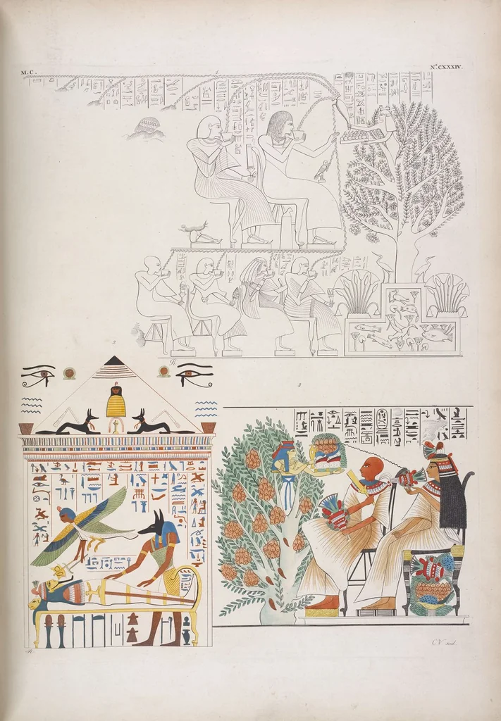 An illustration from I monumenti dell'Egitto e della Nubia disegnati dalla spedizione scientifico-letteraria toscana in Egitto; distribuiti in ordine di materie interpretati ed illustrati dal dottore Ippolito Rosellini, 1832, leaf 316