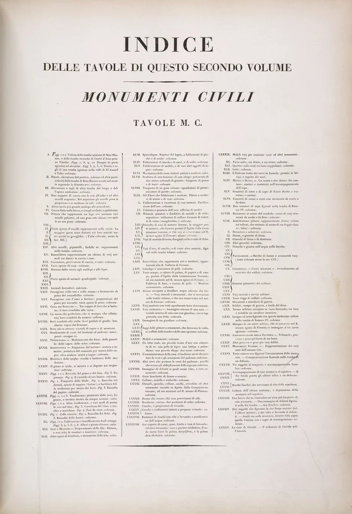 An illustration from I monumenti dell'Egitto e della Nubia disegnati dalla spedizione scientifico-letteraria toscana in Egitto; distribuiti in ordine di materie interpretati ed illustrati dal dottore Ippolito Rosellini, 1832, leaf 318