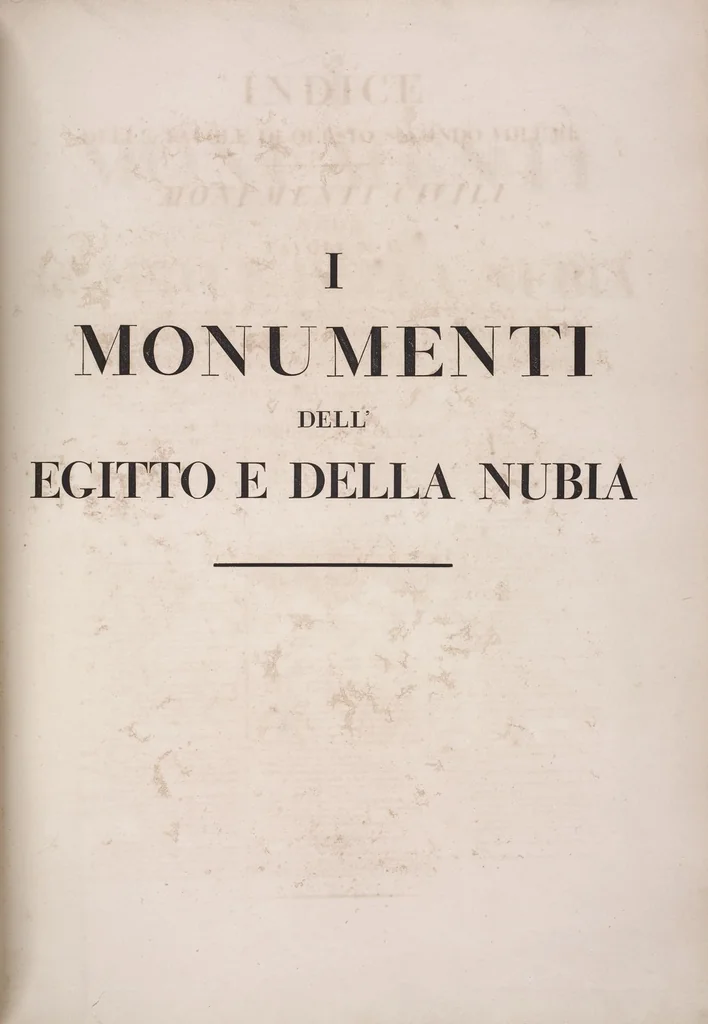 An illustration from I monumenti dell'Egitto e della Nubia disegnati dalla spedizione scientifico-letteraria toscana in Egitto; distribuiti in ordine di materie interpretati ed illustrati dal dottore Ippolito Rosellini, 1832, leaf 319