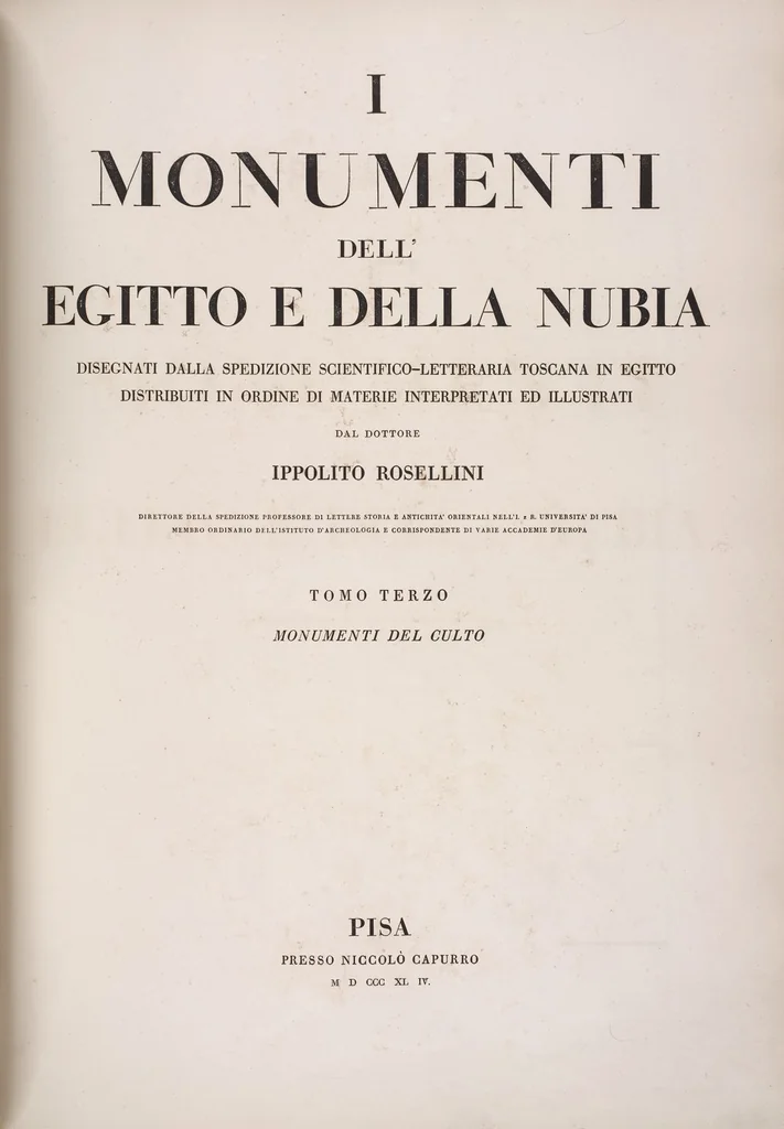 An illustration from I monumenti dell'Egitto e della Nubia disegnati dalla spedizione scientifico-letteraria toscana in Egitto; distribuiti in ordine di materie interpretati ed illustrati dal dottore Ippolito Rosellini, 1832, leaf 320