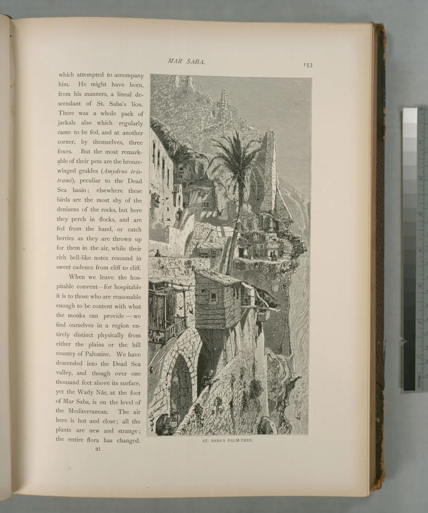An illustration from Picturesque Palestine, Sinai and Egypt, 1881, leaf 103