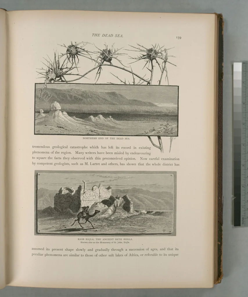 An illustration from Picturesque Palestine, Sinai and Egypt, 1881, leaf 106