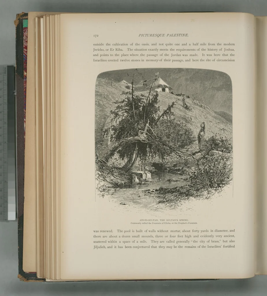 An illustration from Picturesque Palestine, Sinai and Egypt, 1881, leaf 115