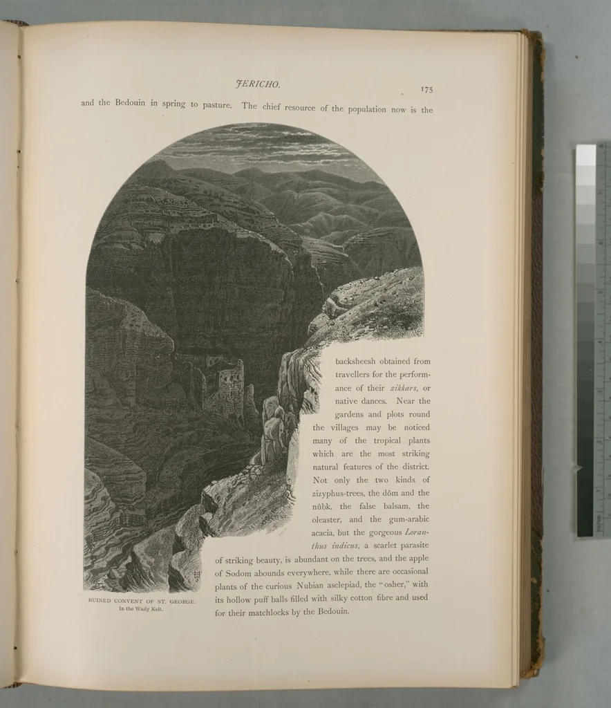 An illustration from Picturesque Palestine, Sinai and Egypt, 1881, leaf 117